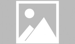 西安基金最新爆料公告,揭秘重大投资动态与市场动向